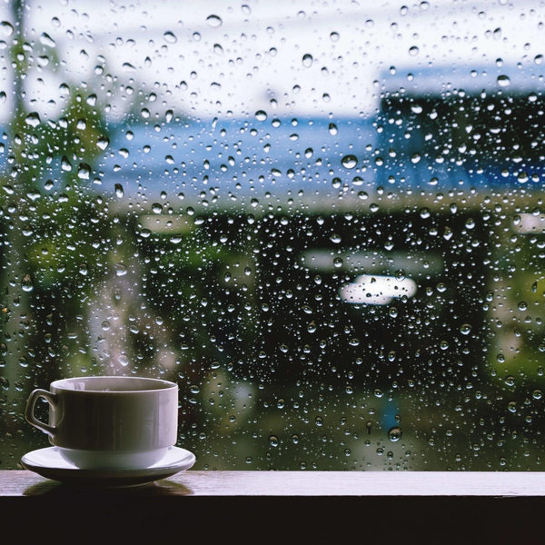 Rainy Day Fund!