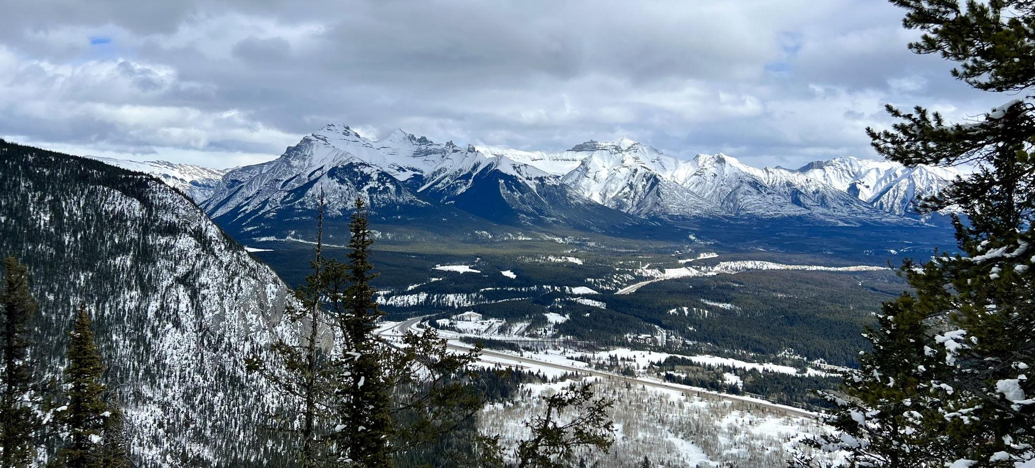 The Wedding Website of Jennifer Walsh and Mark Fardy