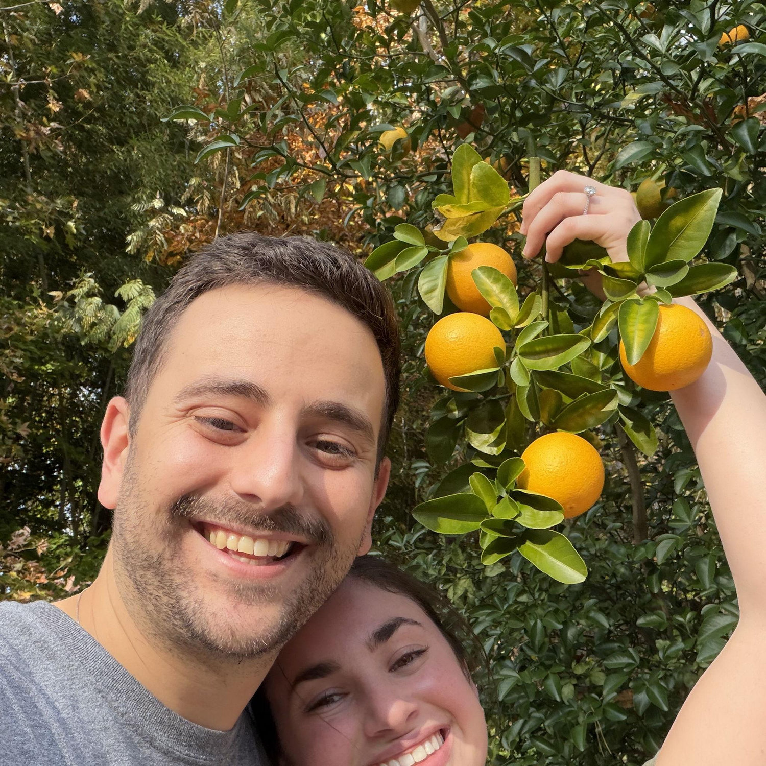 Our lemon tree!