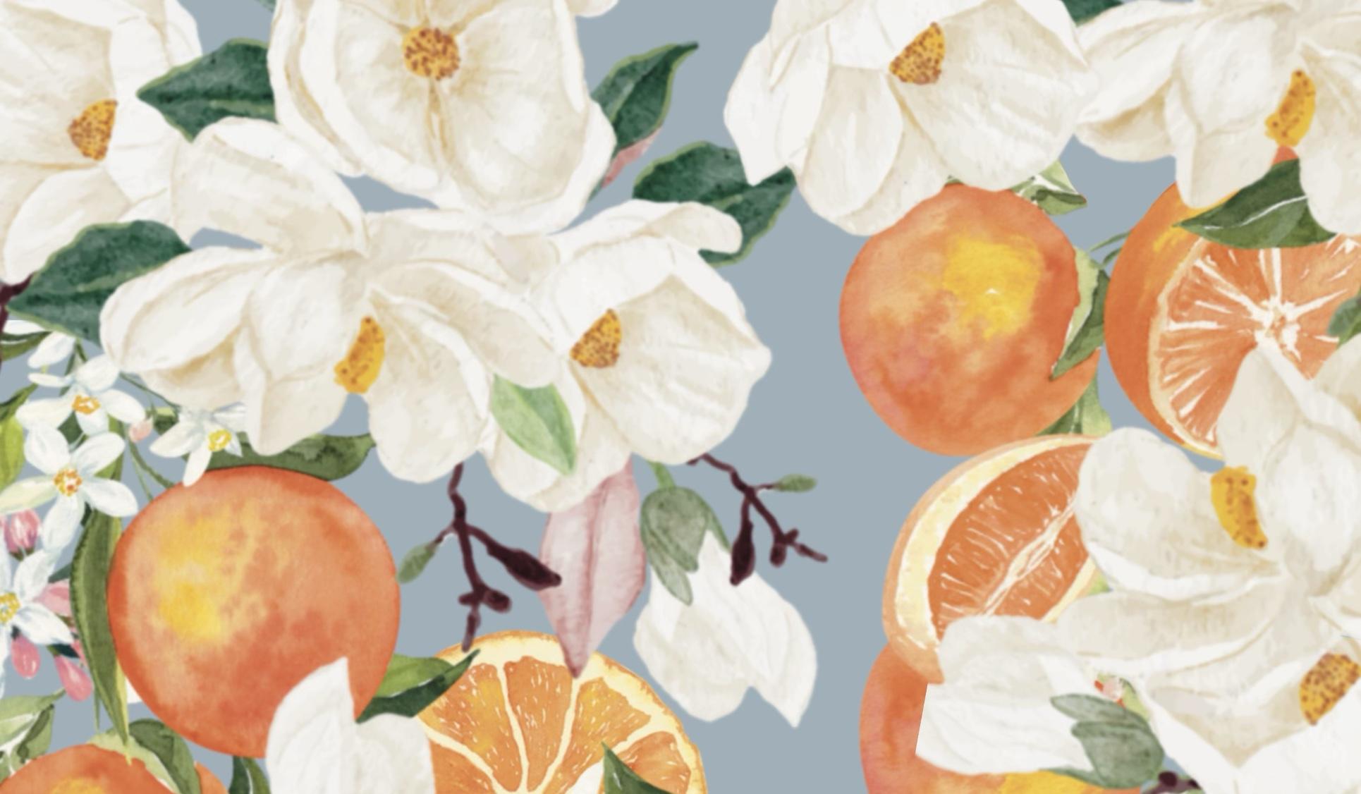 The Wedding Website of Rachel Ransleben and Rollins Olmsted