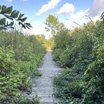 University of Wisconsin–Madison Arboretum