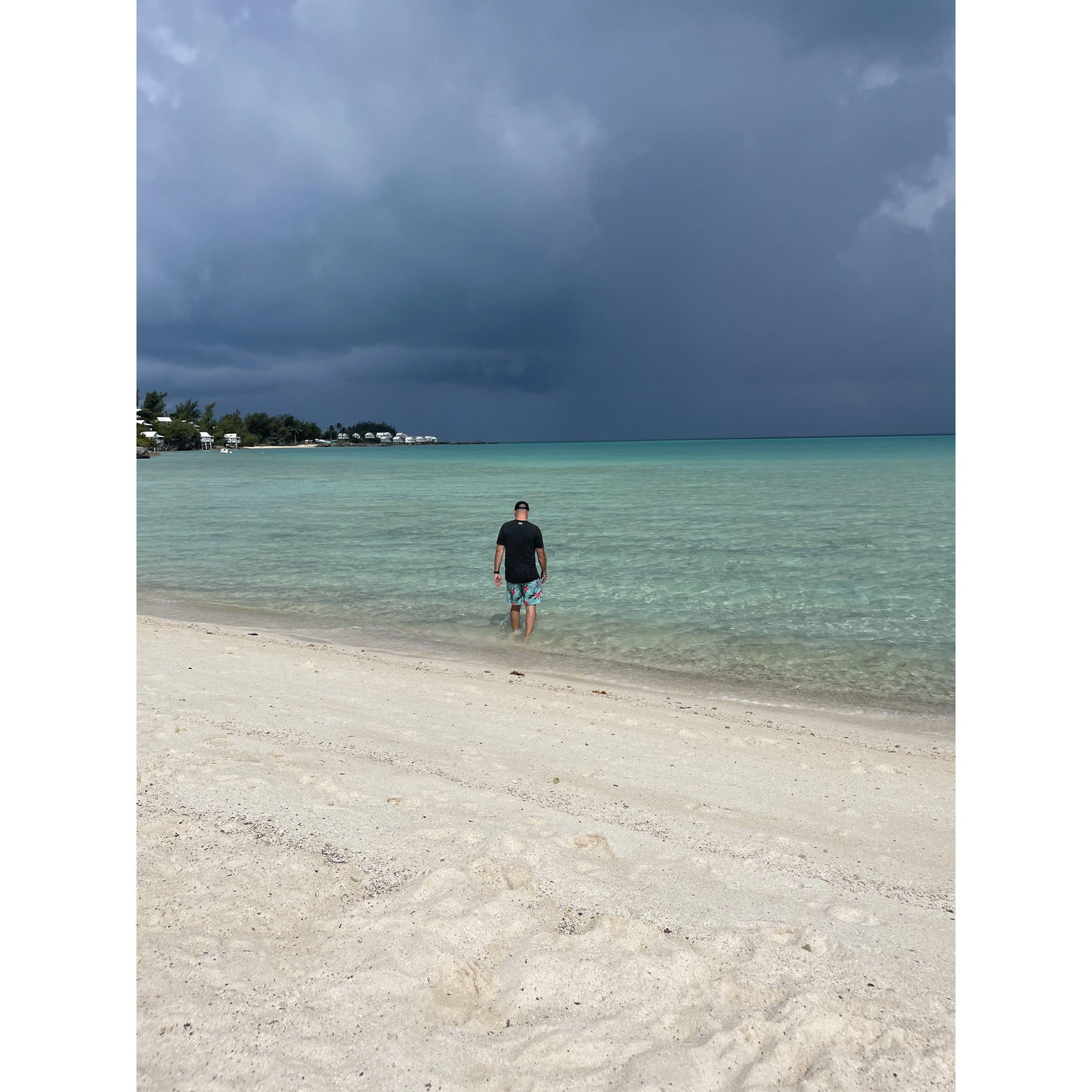 Bermuda '24