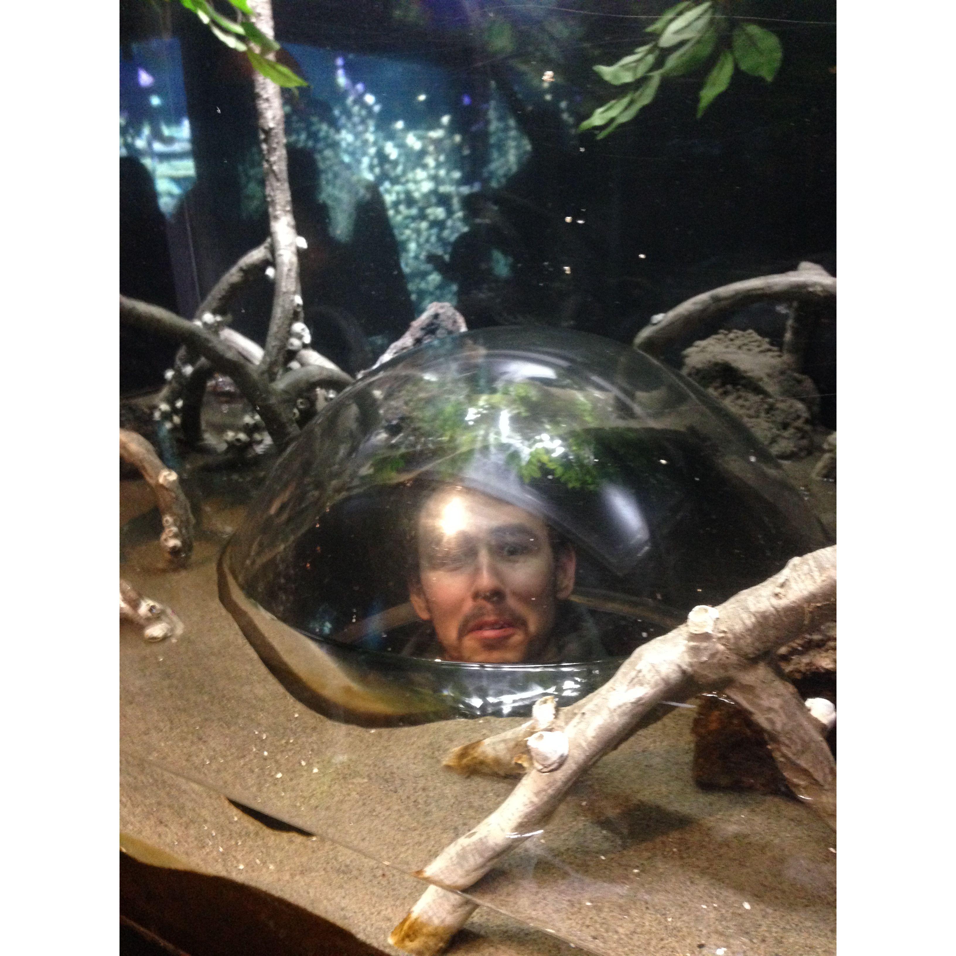 Erik in a bubble
