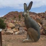 Nature Discovery Trail and Rock Garden