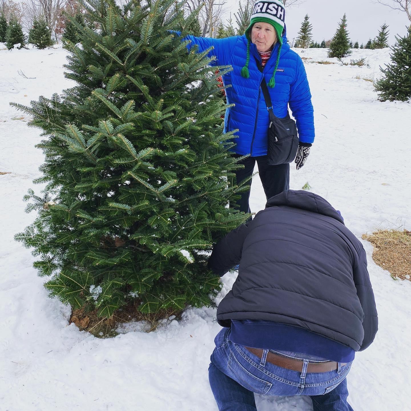 Jons first time cutting a Christmas Tree!