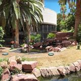 Flamingo Wildlife Habitat