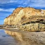 Del Mar Dog Beach