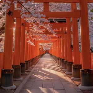 Hotel in Kyoto