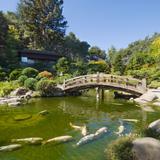 Hakone Estate and Gardens