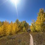 A drive in the mountains to see the Fall colors if you are staying longer.
