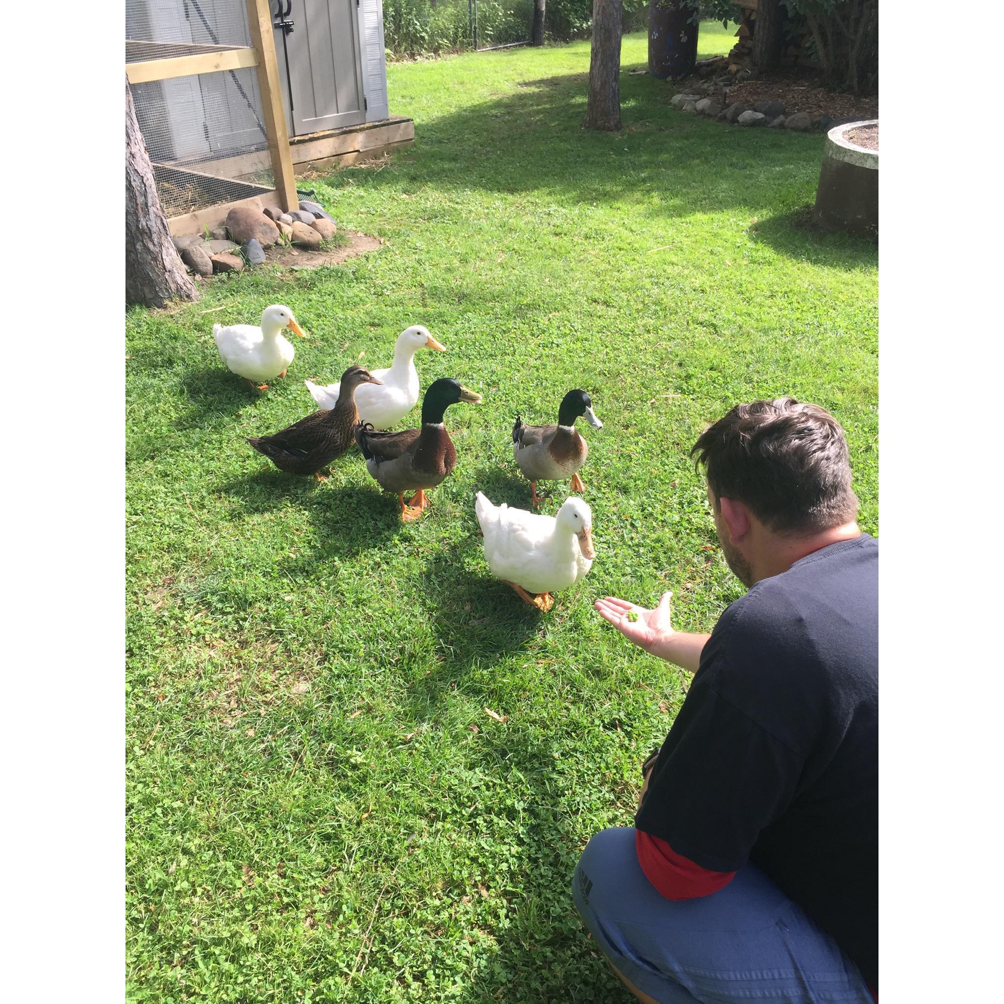 Feeding the ducks at my friend Jennifer’s house, he still talks about this! I think we may have to have our own ducks some day . 🦆