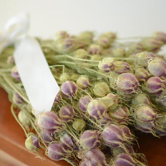 Bunch of dried nigella, love-in-a-mist,...