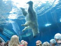 Pittsburgh Zoo & PPG Aquarium