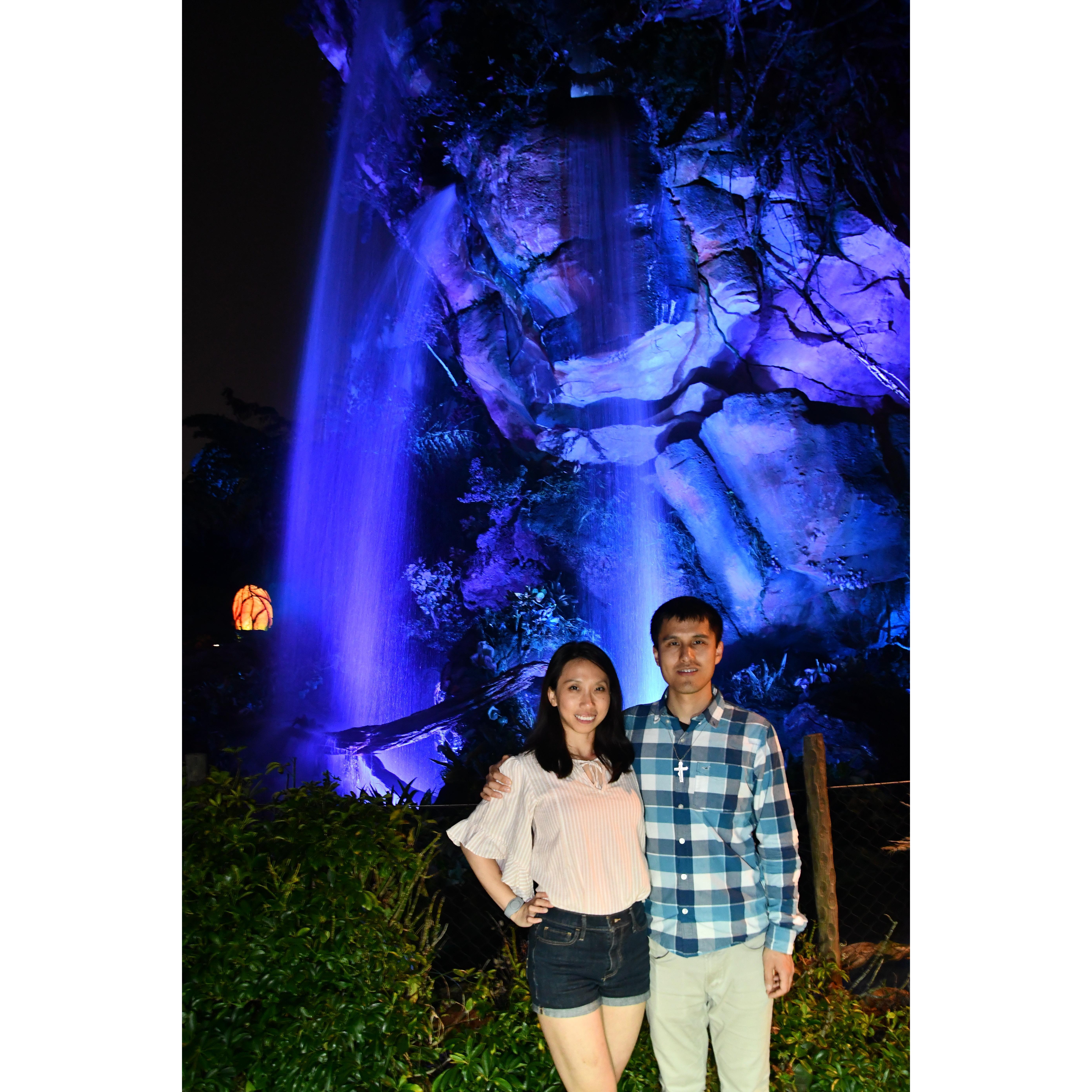 Pandora @ Animal Kingdom