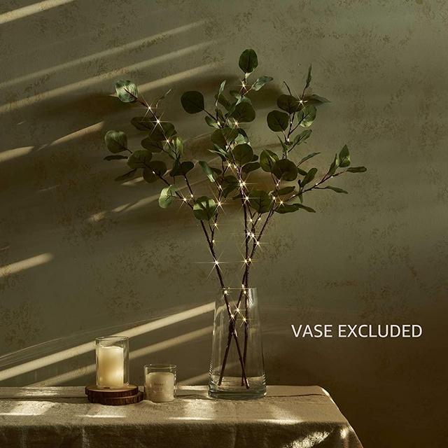 Hairui Lighted Eucalyptus Branches with Timer 24IN 36 LED Battery Operated for Wedding Christmas Party Home Spring Decor (Vase not Included)