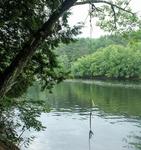 Keese Mills Rope Swing