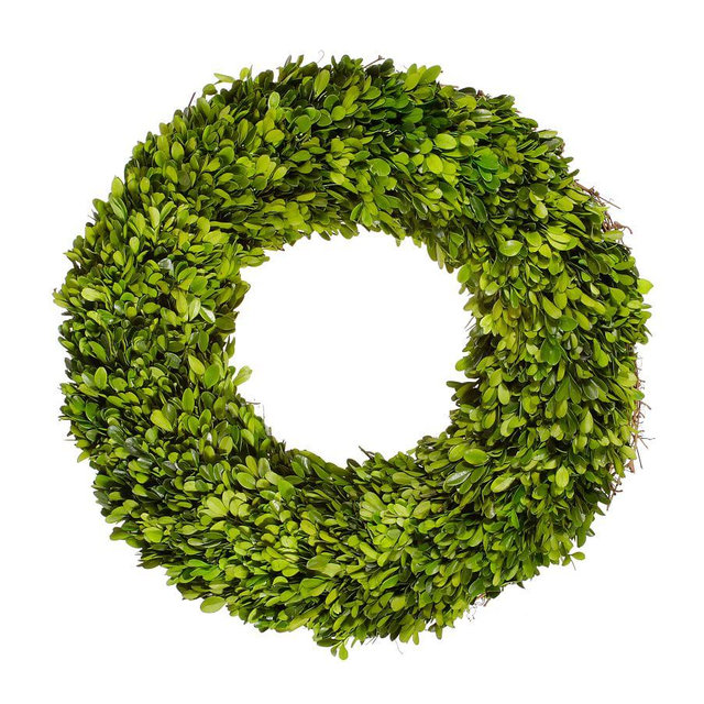 Live Preserved Boxwood Wreath, 20" Inch