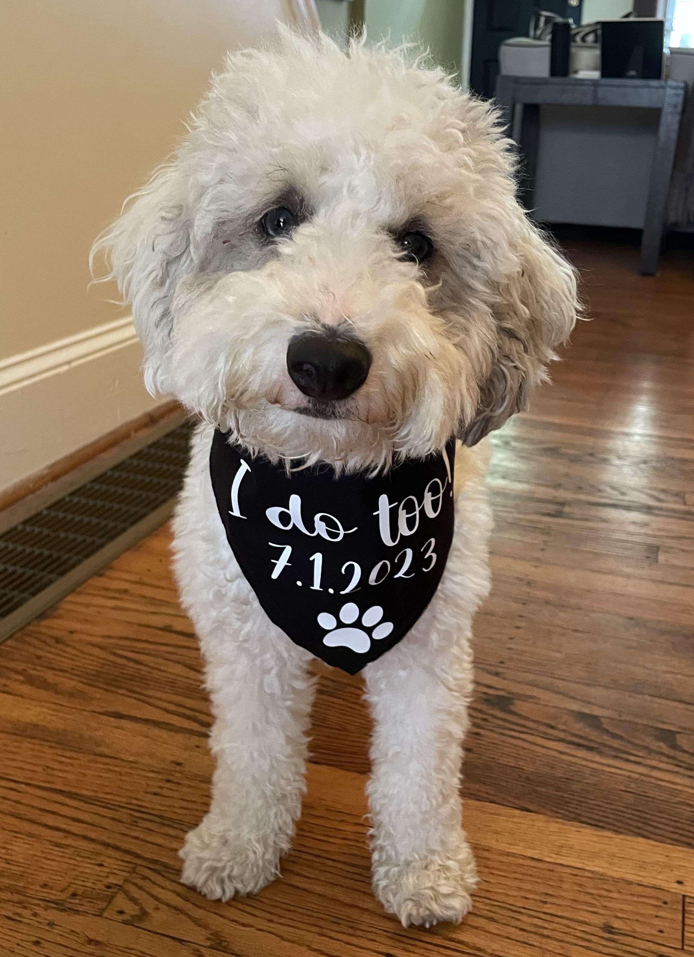 The Wedding Website of Rachel Chess and John Gunheim