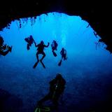 Snorkeling & Diving