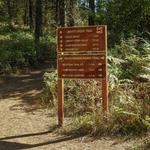 Hiking
