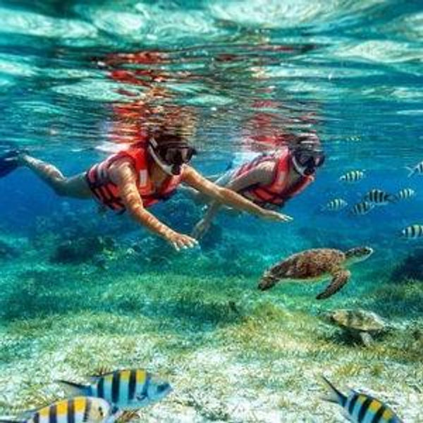 Cruise Excursion- Lagoon Cruise & Snorkel