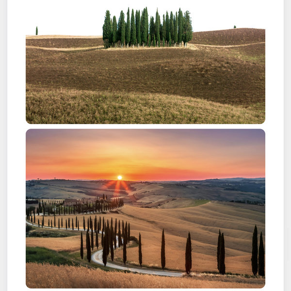 Wine Tasting in Tuscany