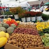 Farmer's Market