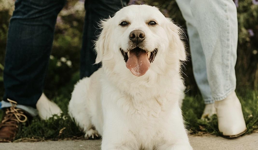 The Wedding Website of Desirae Washam and Tyler Schatzka