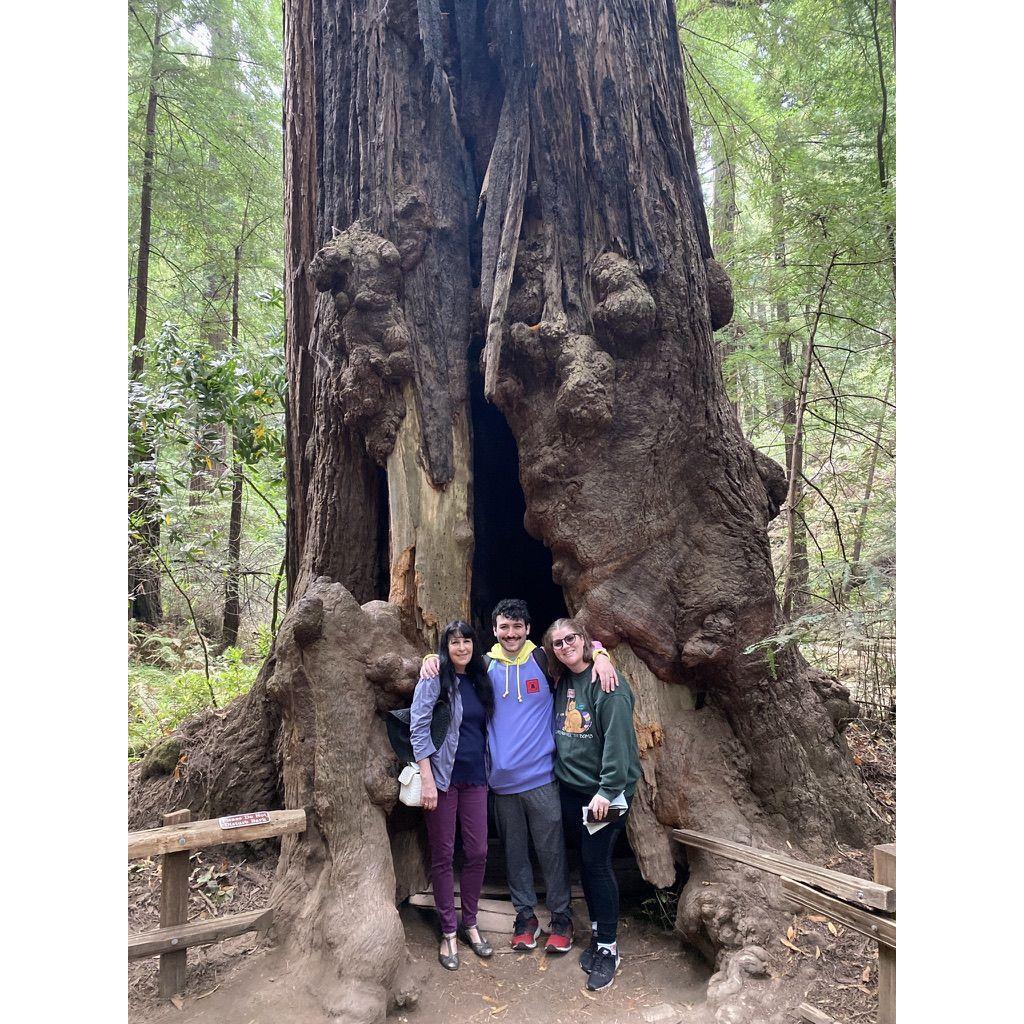Trip to California. Here we are in Muir woods with Jp's mom, Sherifa, August 2021