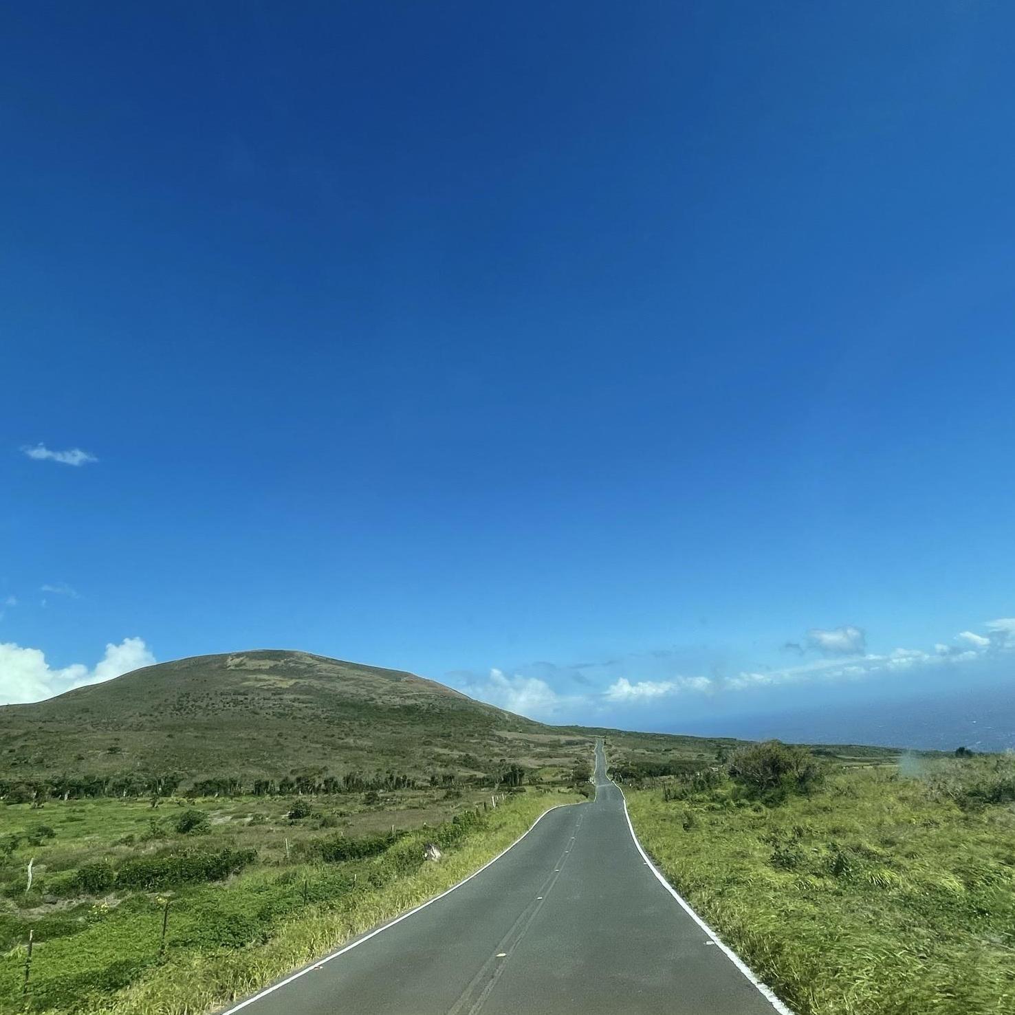 Can you believe that we drove through the "divorce highway" (road to Hana) THREE TIMES? And once backwards (where this was taken).