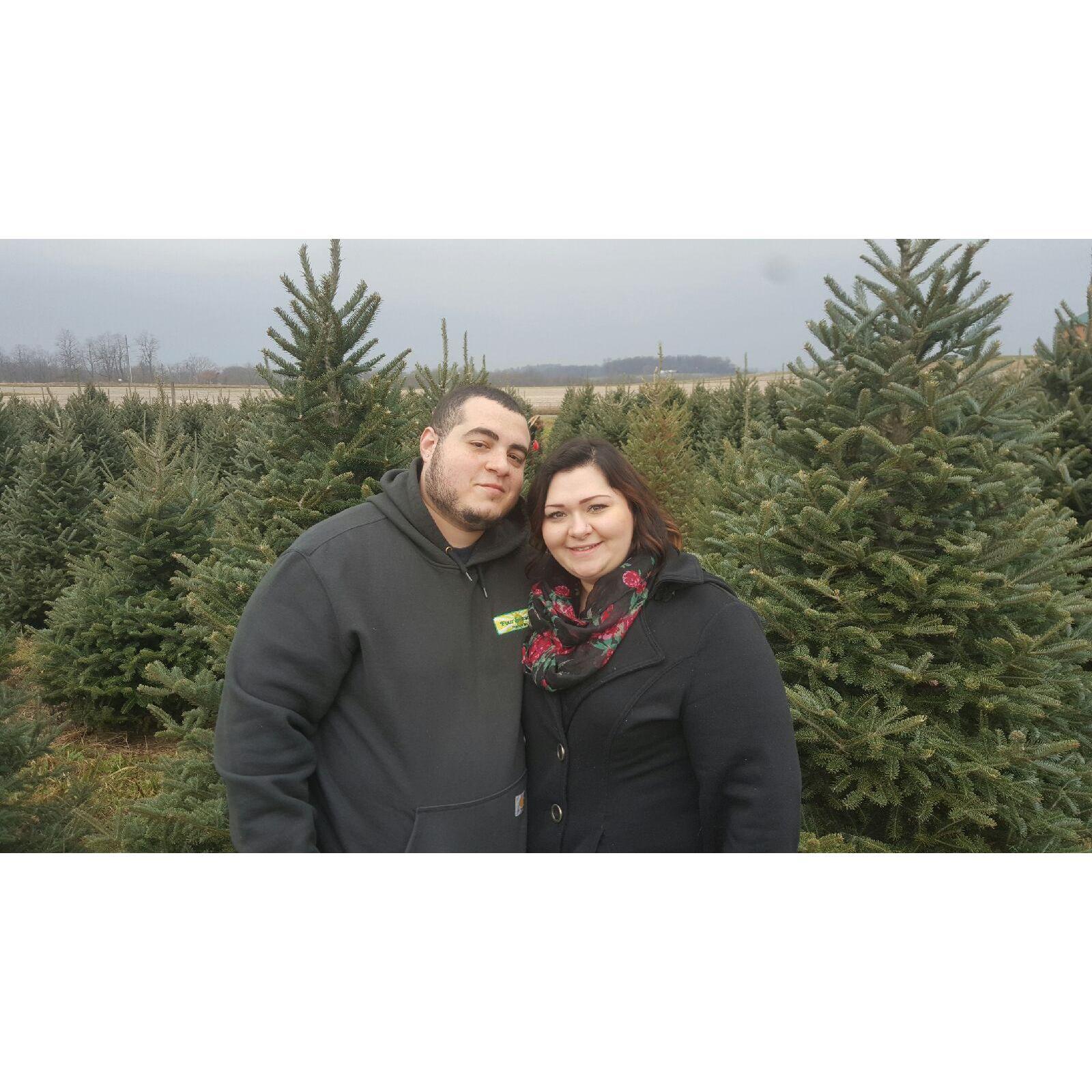 Christmas Tree Shopping