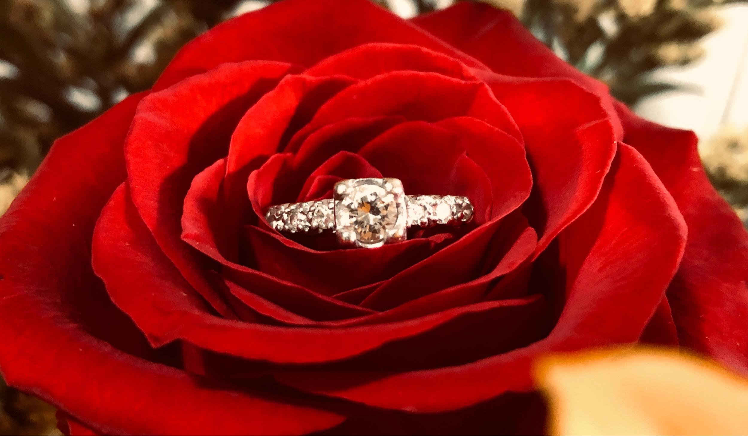 The Wedding Website of Rachel Connor and Iain Bartlett