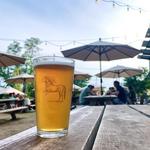 Ponysaurus Brewing Company
