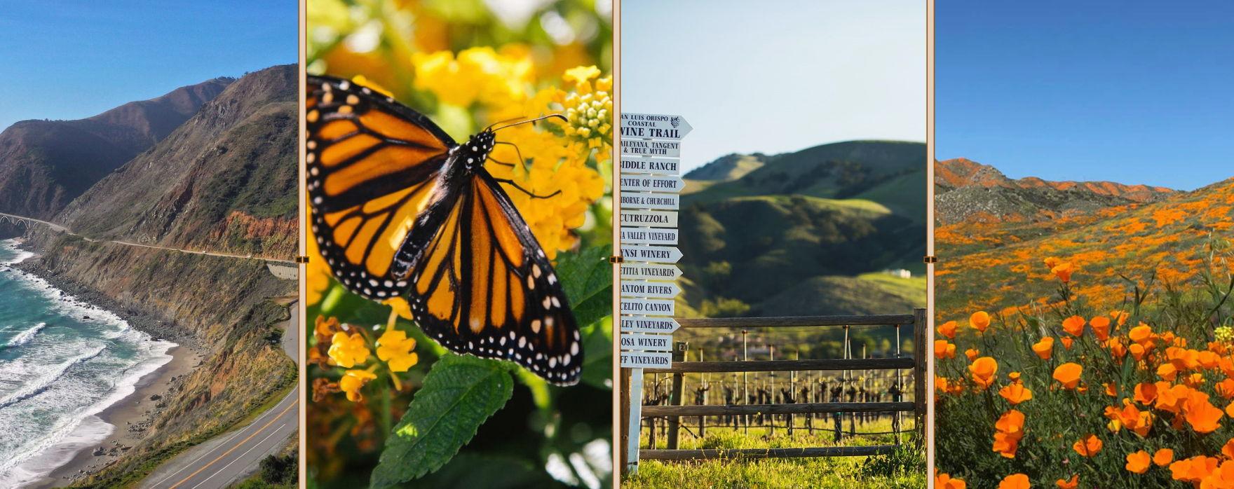 The Wedding Website of Tess Leach and Grant Pigg