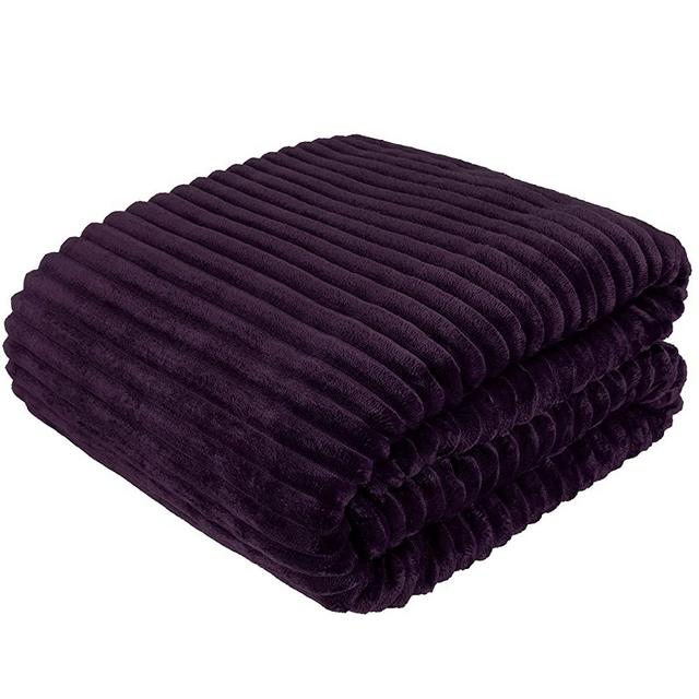 PAVILIA Cozy Fleece Blanket Throw Twin | Fuzzy, Super Soft, Plush, Luxury Flannel Throw | Warm Ribbed Microfiber Blanket for Sofa Couch Bed (Purple, 60x80 inches)