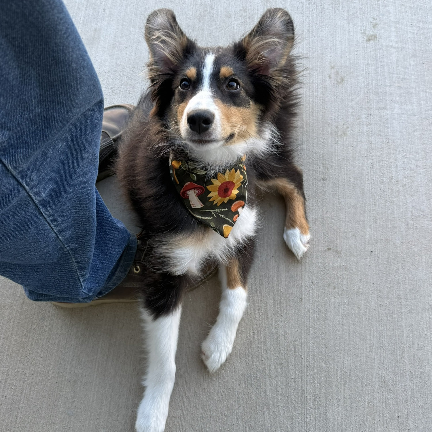 Miss Maple!