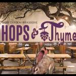 Hops & Thyme