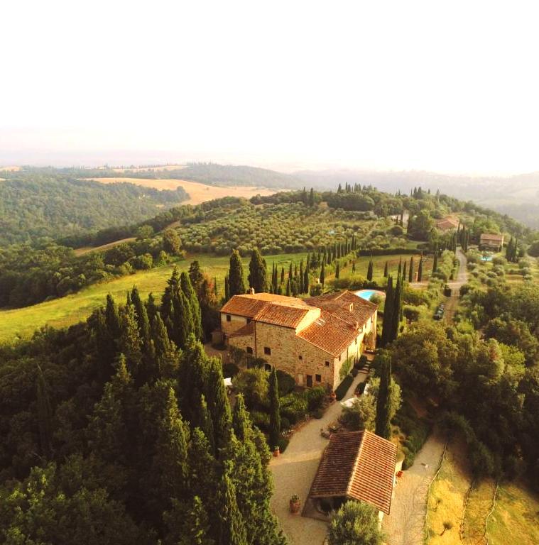 The Wedding Website of Laura Burgos and Farid Jedidi