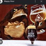 Mountain Toad Brewing