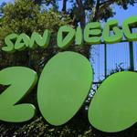 San Diego Zoo Picnic Area