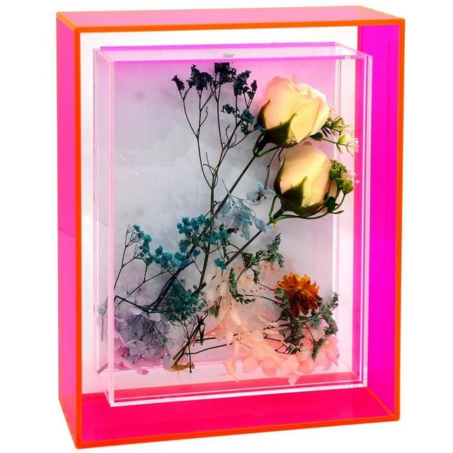 HappyDino Acrylic Shadow Box Frame 8X10 Picture Frame Memorial Display Case Box with Door for Flowers, Neon Pink