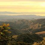 Monte Verde Cloud Forest Tour