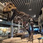The Academy of Natural Sciences of Drexel University