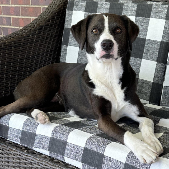 Basil’s New Digs (House Furnishing Funds)