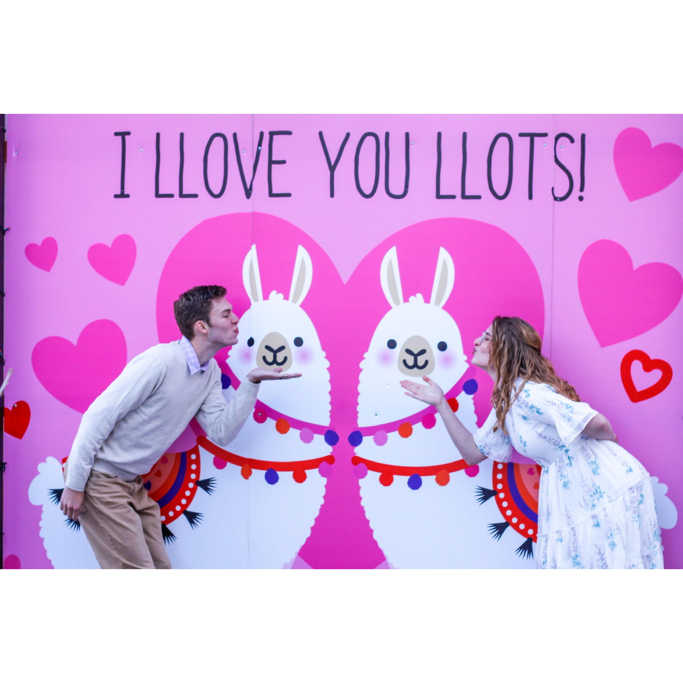 I'm just making you look at how cute we are