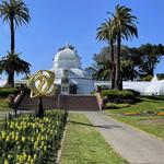 Golden Gate Park