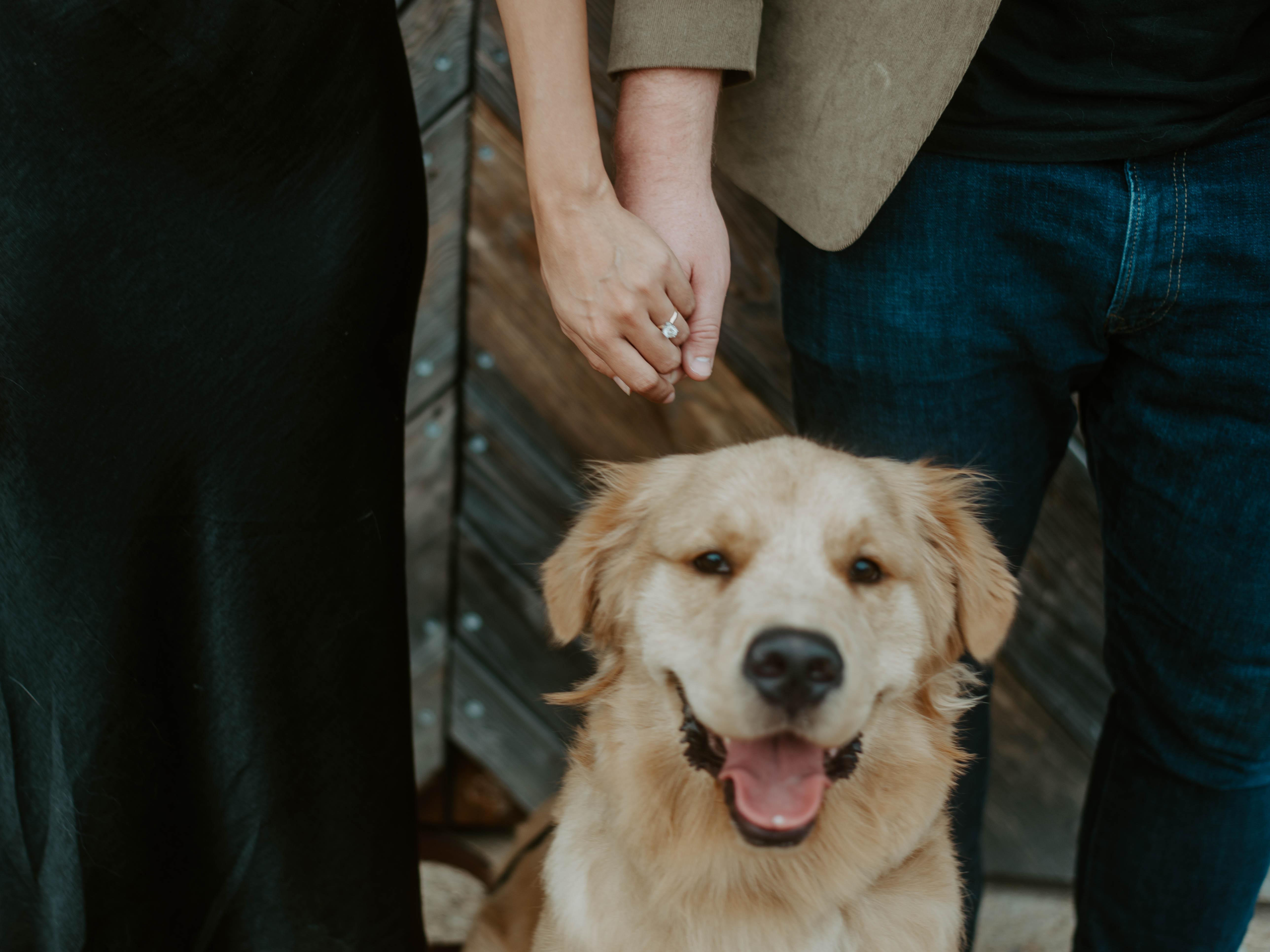 The Wedding Website of Rosimely Ulpino and Tyler Sera