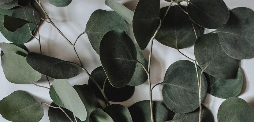 The Wedding Website of Laura McRobert and Daniel Walker