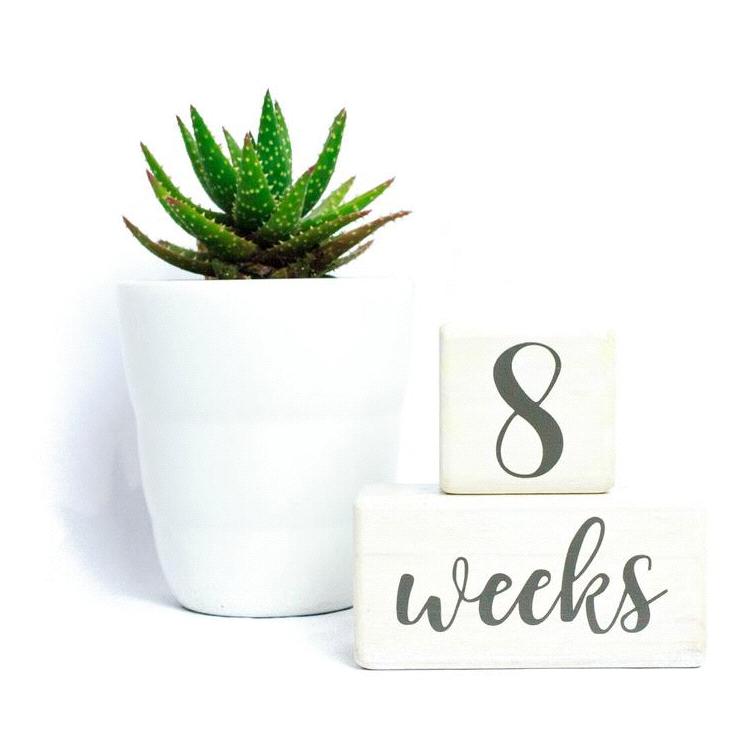 Baby Age Blocks