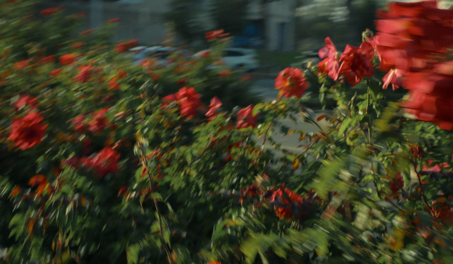Footer image